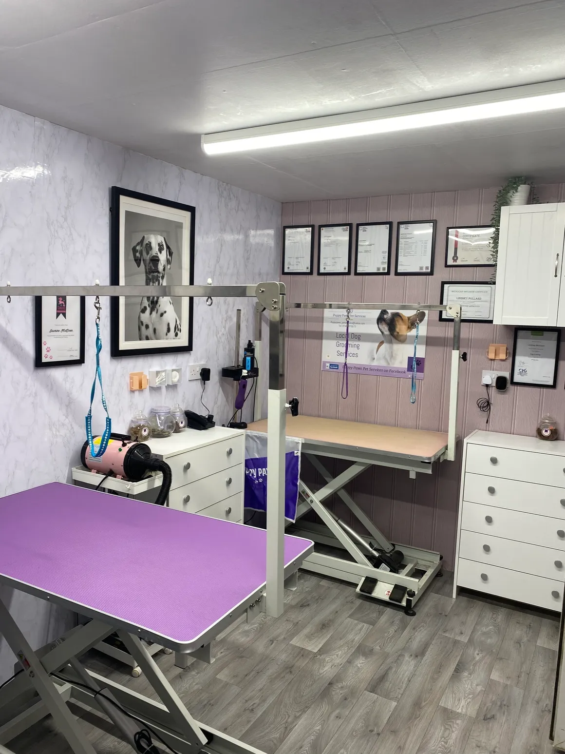Inside the MyKindCoats grooming studio — a calm, well-lit space in Prenzlauer Berg